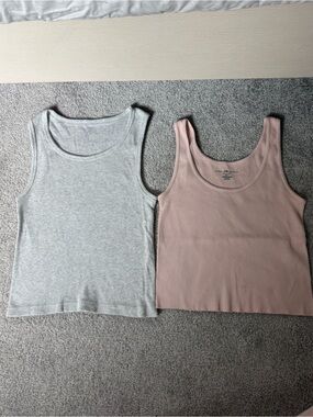 Bundle of two Brandy Melville tank tops